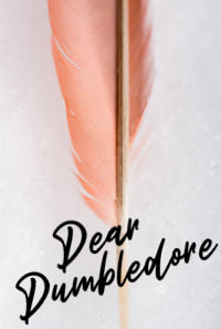 Image shows a phoenix feather with the words 
