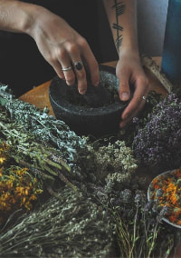 Image shows a pair of hands grinding herbs in a mortar and pestle surrounded by a variety of dried herbs