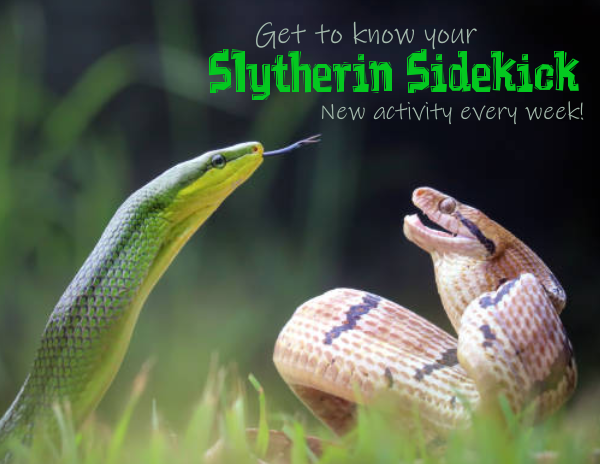 Slytherin Sidekick ad