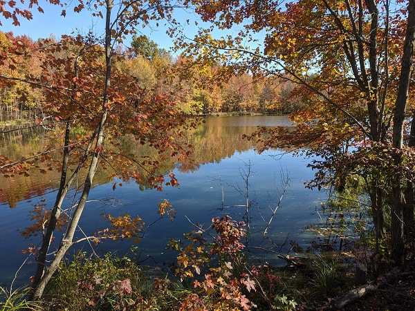 Nature preserve in the fall