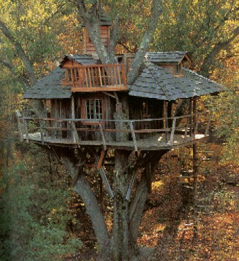 A fancy treehouse in the woods