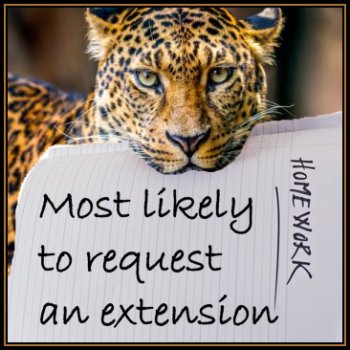 Most likely to request an extension
