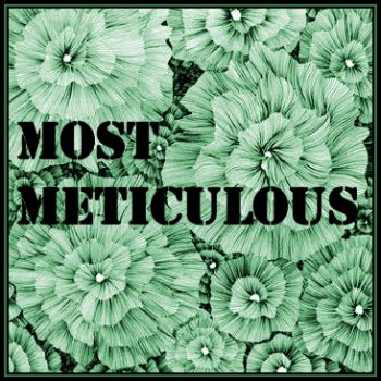 Most Meticulous