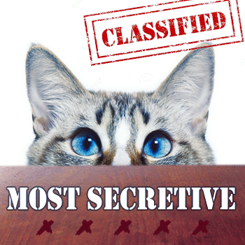 Most Secretive