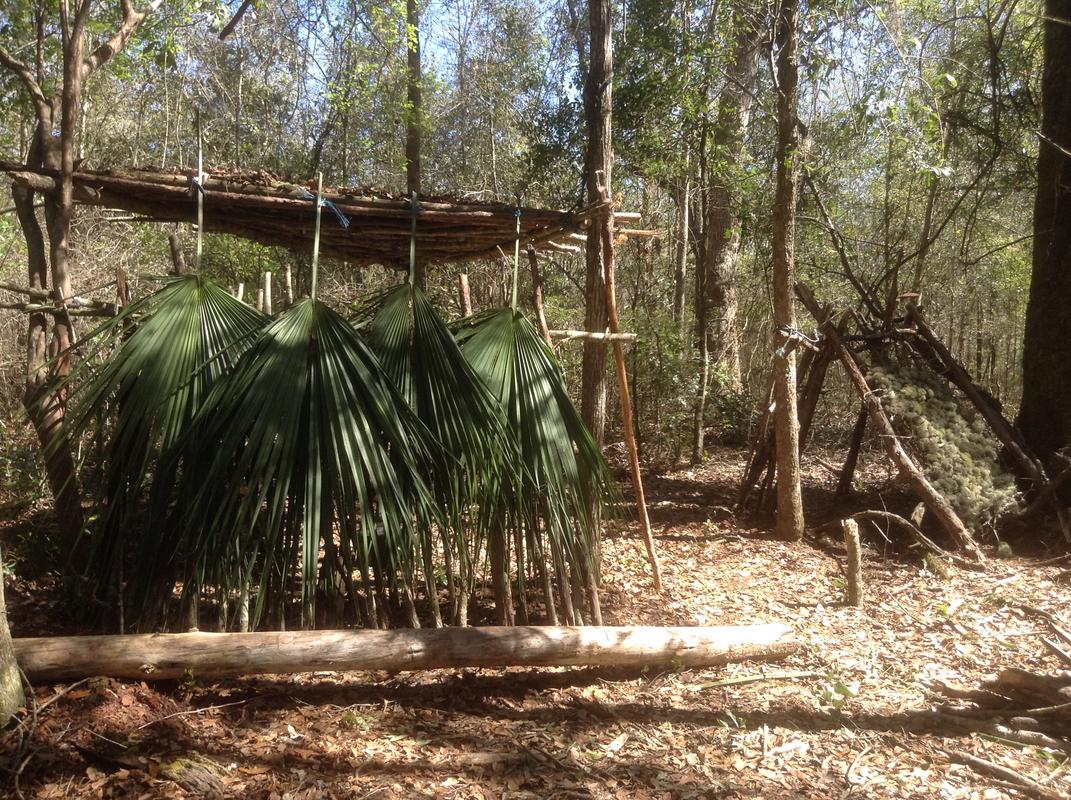 Hut made with huge hanging leaves