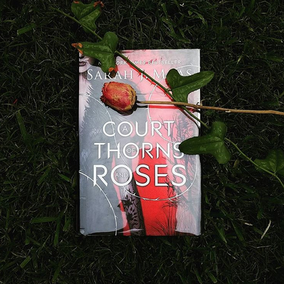 A Court of Thorns and Roses book in grass with rose over it